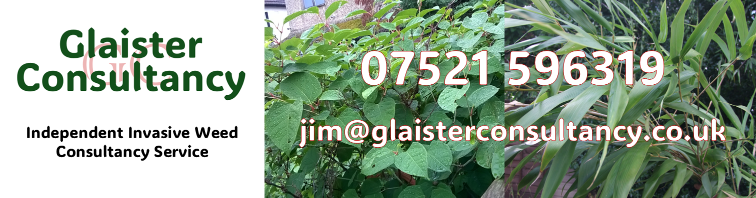 Glaister Consultancy banner